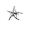Starfish brooch in Cornish tin